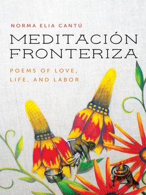 cover image of Meditación Fronteriza